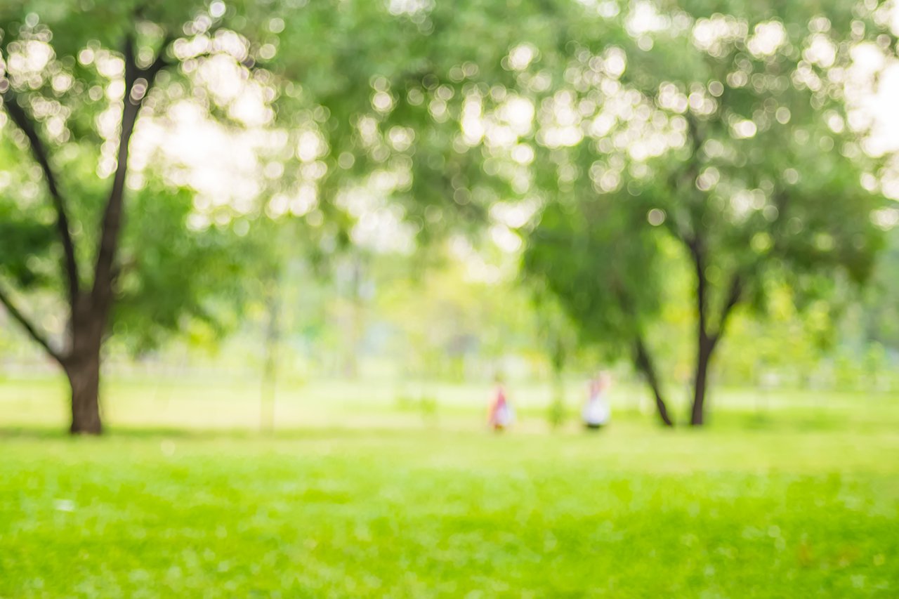 Blakewood Oaks park for exercices